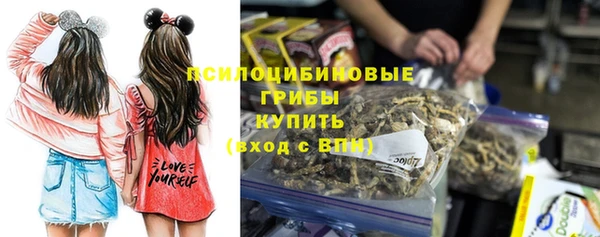 бошки Аркадак