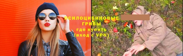 бошки Аркадак